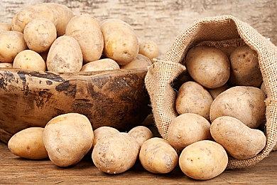 《怪物猎人崛起：曙光》PV2公开！迅速切换，巧妙冲锋！